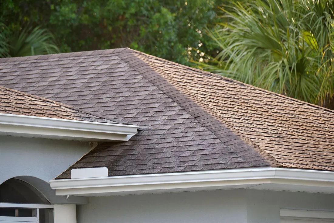Residential shingle roof installed by Absolute Roofing